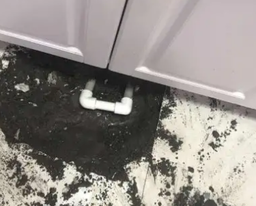 东莞查漏水哪家好